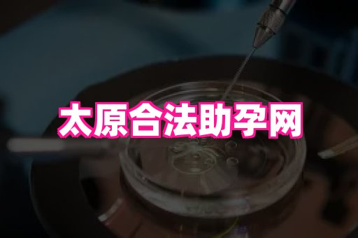 东莞助孕网站 3