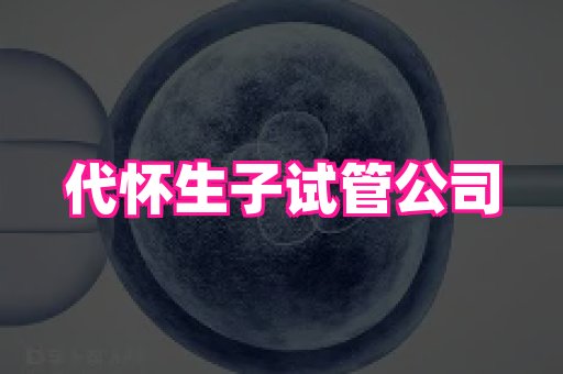东莞助孕网站 4